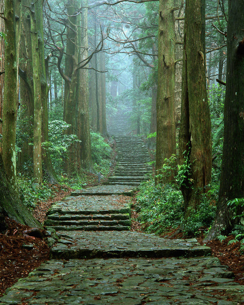 Kumano Kodo Pilgrimage Trail
