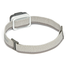 Load image into Gallery viewer, Black Diamond Astro 250 Headlamp Aluminum