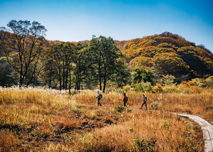 Best Hiking Trails in Japan