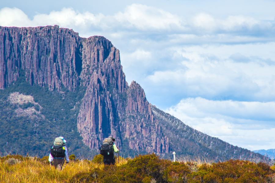 Cradle Mountain Huts Walk Availability