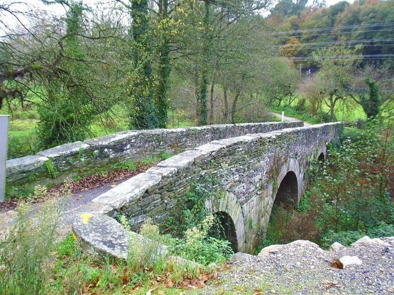 The Camino de Santiago from Sarria