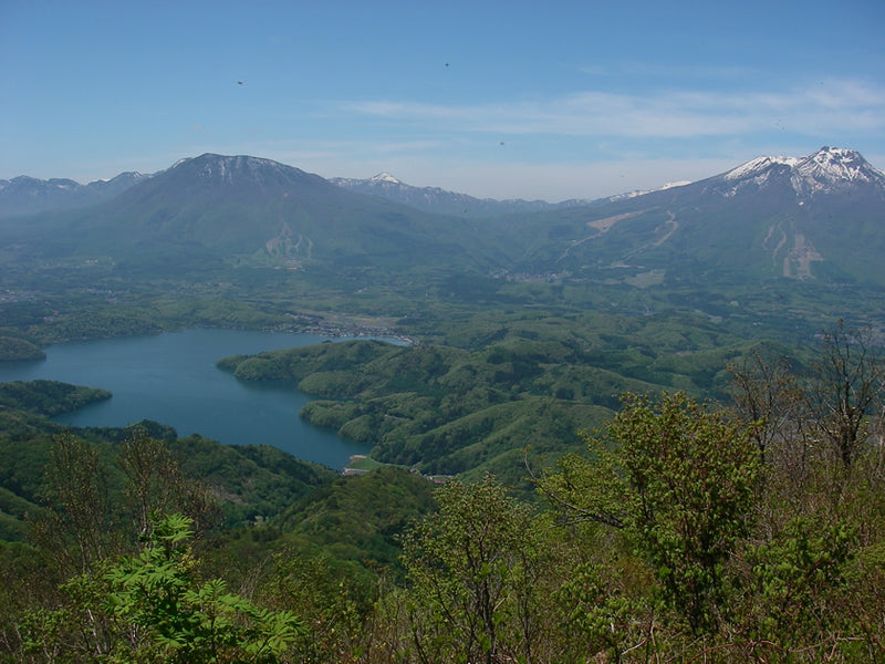 Shin-etsu Trail Day-by-Day Highlights, Sections 1 - 5.