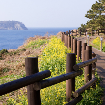 Jeju Olle Trail, South Korea