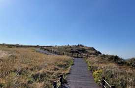 Jeju Olle Coast-to-Coast 7-Day Package