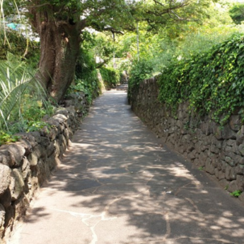 Jeju Olle Trail, South Korea