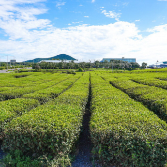 Jeju Olle Southwest Routes, South Korea