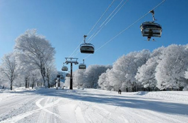 Nozawa 5-Day Twin Share Value Season