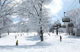 Nozawa 5-Day Four Share Value Season